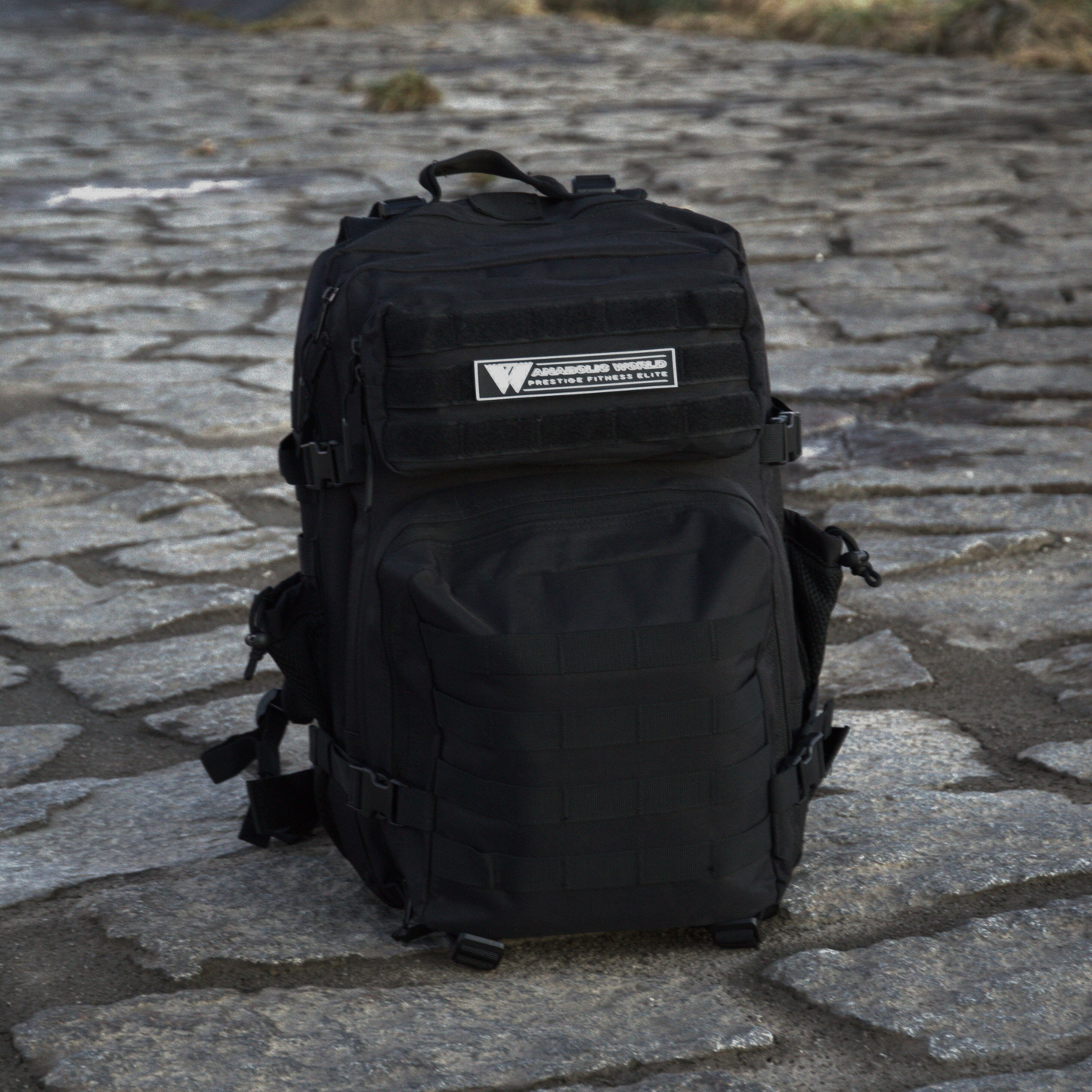 APEX 1.0 BACKPACK